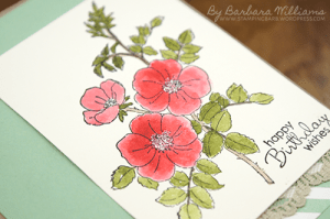 Barbara Williams |Brair Rose | Stampin Up