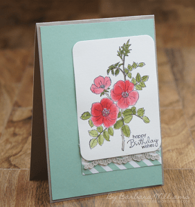 Barbara Williams|stampin up| Sydney | Brair Rose