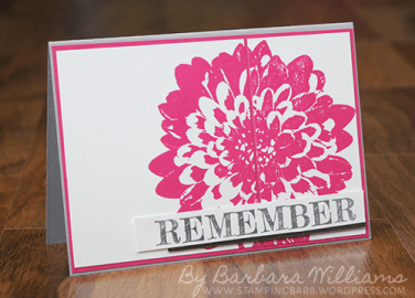 Definitely Dahlia | Word of Truth