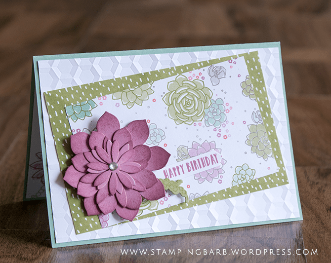 Barbara Williams Oh So Succulent